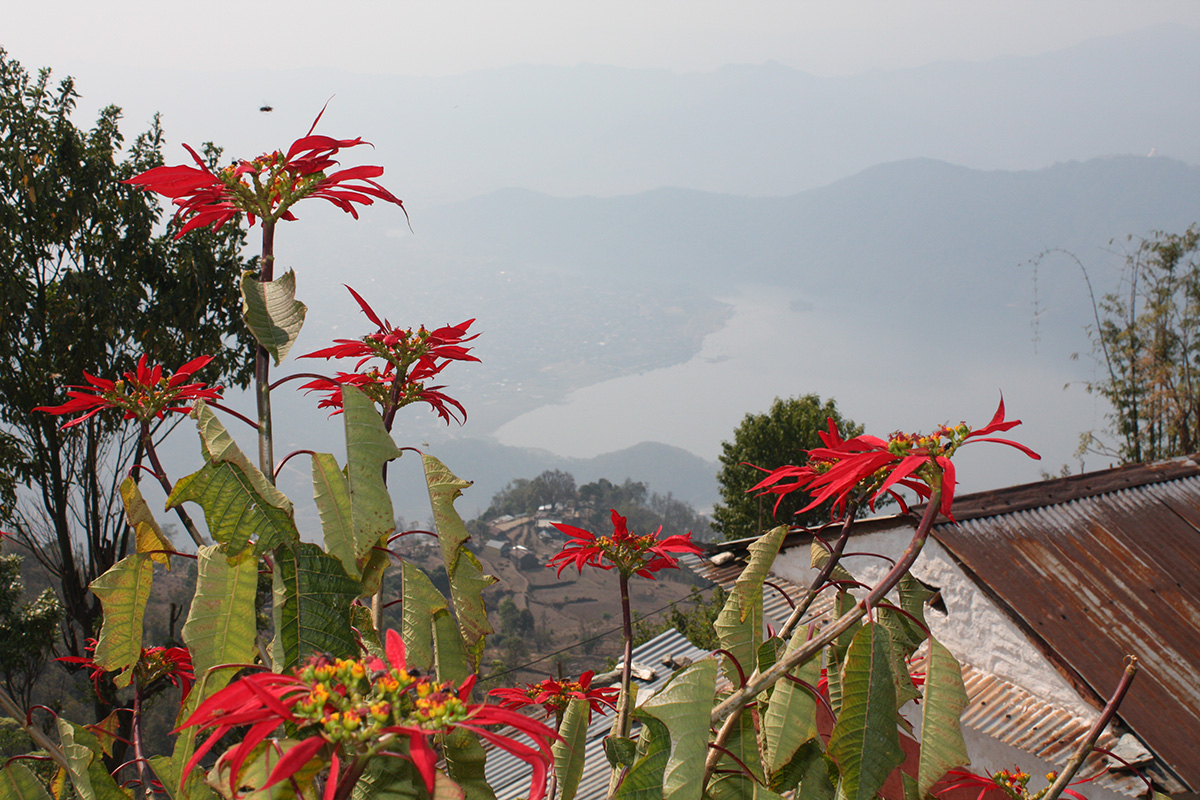 Pokhara gallery image 2