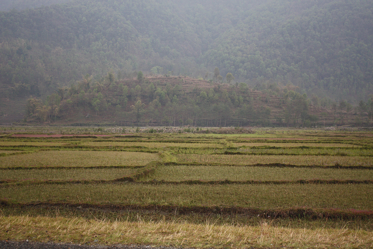 Pokhara gallery image 5