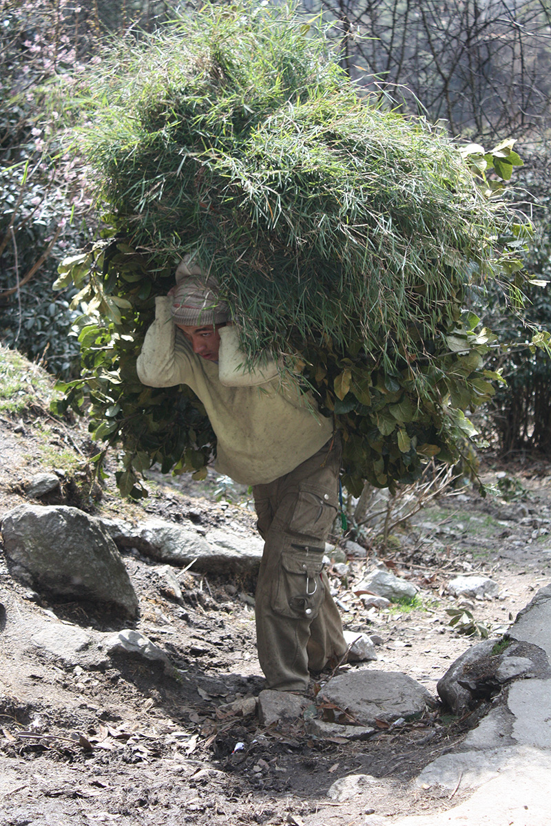 Pokhara gallery image 6