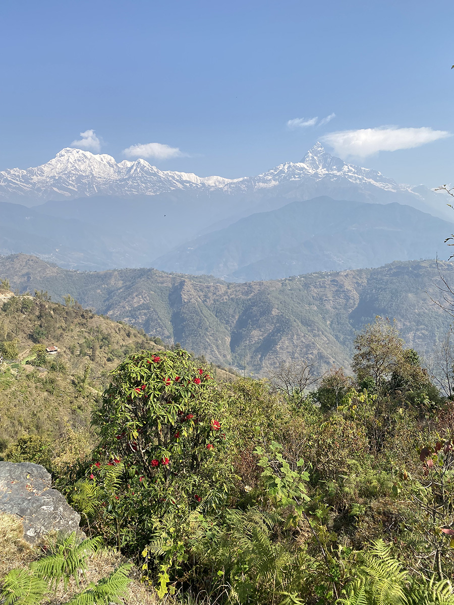 Pokhara gallery image 7