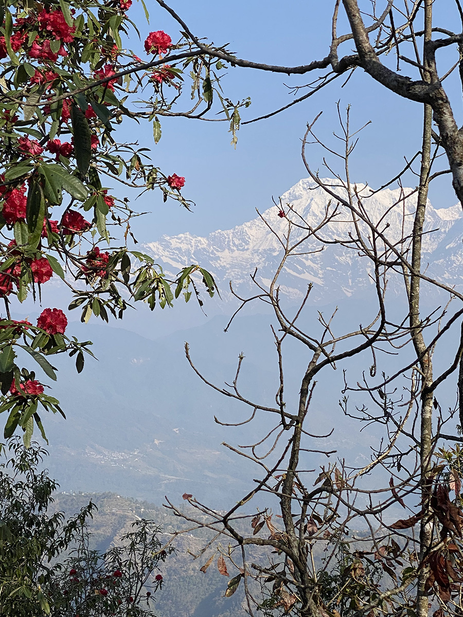 Pokhara gallery image 11